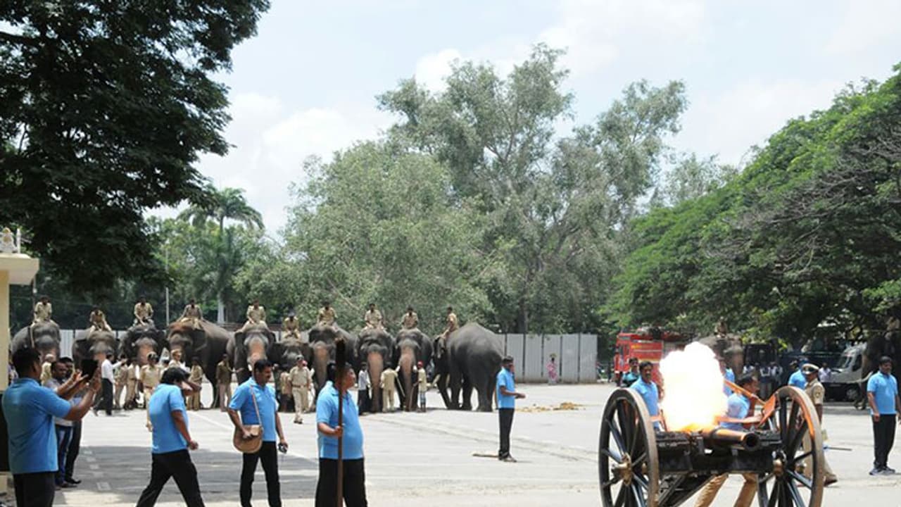 Dasara elephants and horses get agitated over canon blast