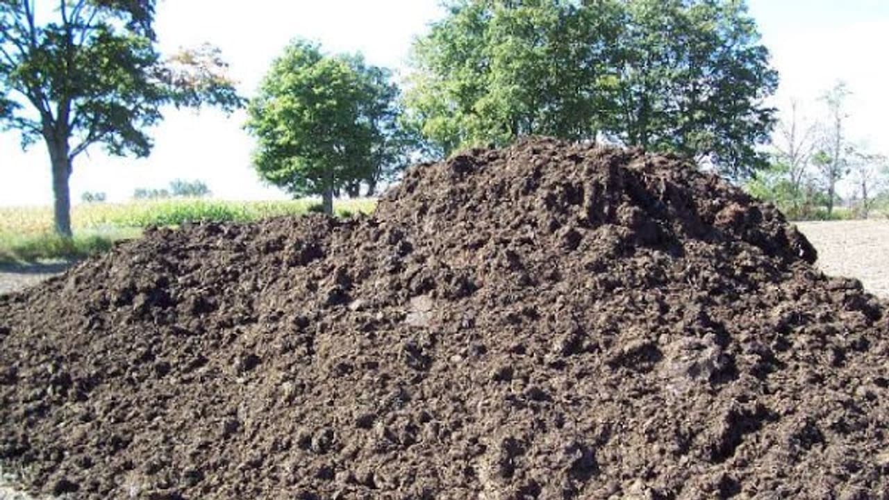 மக்கிய எரு தயாரிப்பின்போது இந்த விஷயங்களை கவனிக்க வேண்டியது அவசியம்... மக்கிய எரு தயாரிப்பின்போது இந்த விஷயங்களை கவனிக்க வேண்டியது அவசியம்...