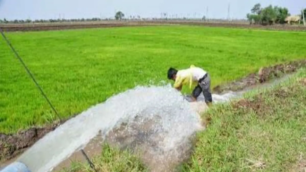 இந்த மரங்கள் இருக்கும் இடத்தில் எல்லாம் நிலத்தடி நீர் செழிப்பாக இருக்கும்... இந்த மரங்கள் இருக்கும் இடத்தில் எல்லாம் நிலத்தடி நீர் செழிப்பாக இருக்கும்...