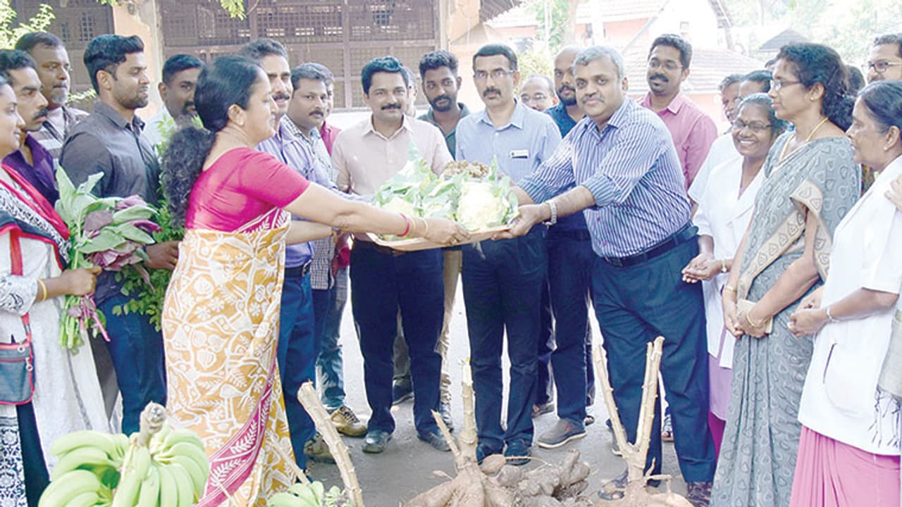 വാട്ട്സാപ്പ് കൂടായ്മയില് ജൈവ സ്പര്ശം വാട്ട്സാപ്പ് കൂടായ്മയില് ജൈവ സ്പര്ശം