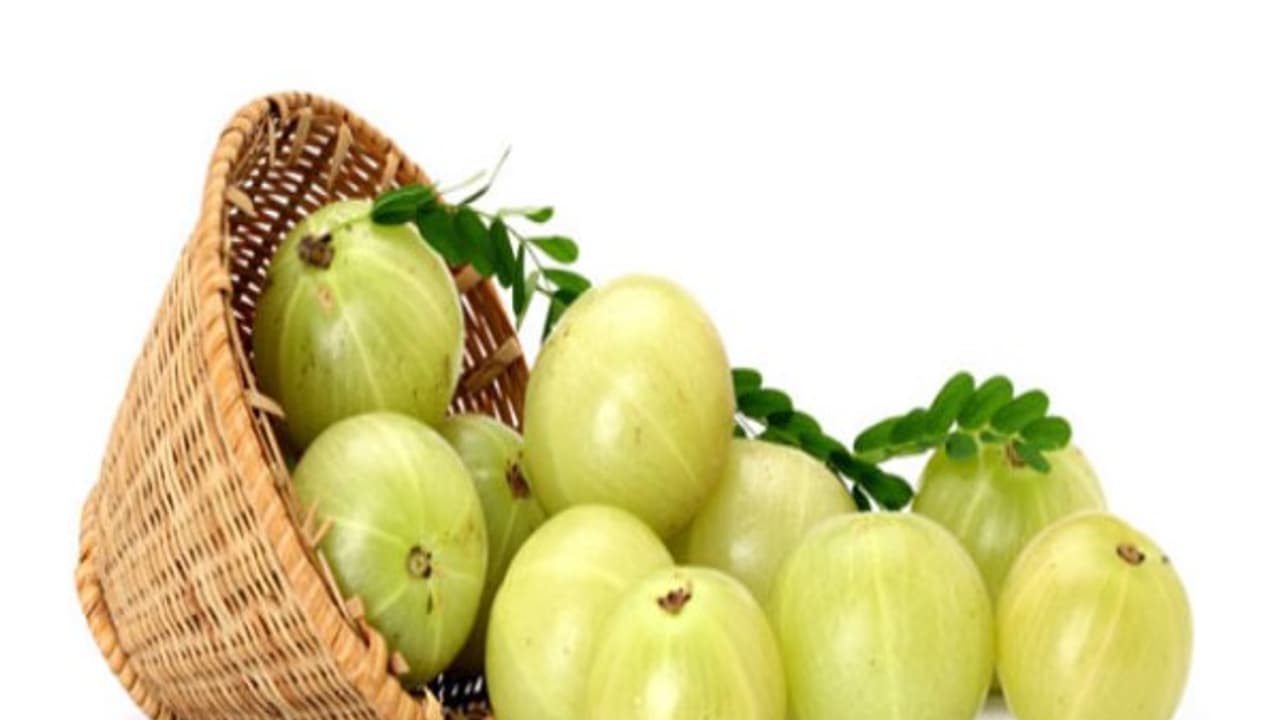 ரத்தத்தில் உள்ள கொழுப்பின் அளவை சீராக்க நெல்லிக்காயை இப்படி சாப்பிட்டாலே போதும்... ரத்தத்தில் உள்ள கொழுப்பின் அளவை சீராக்க நெல்லிக்காயை இப்படி சாப்பிட்டாலே போதும்...