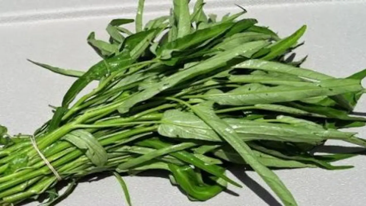 தோல் மற்றும் முடி பிரச்சனைகளை போக்கும் தண்ணீர் கீரை… தோல் மற்றும் முடி பிரச்சனைகளை போக்கும் தண்ணீர் கீரை…