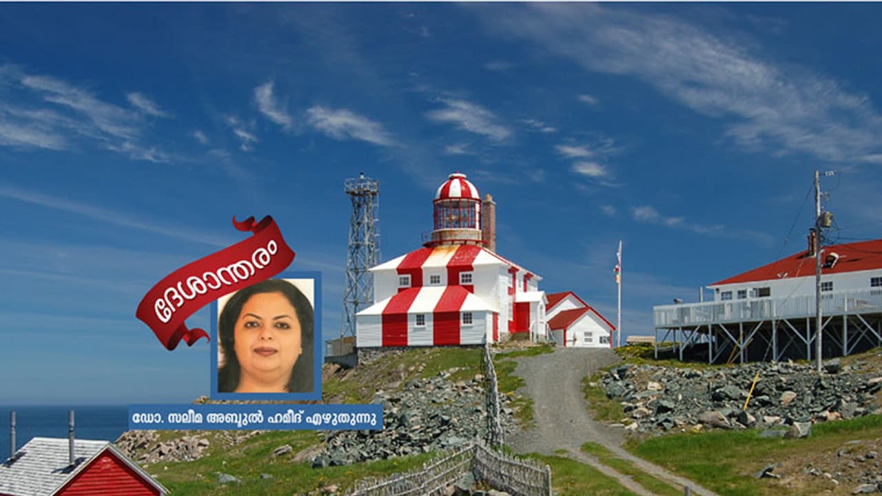 ബോനവിസ്ട: കാഴ്ചകളുടെ ഖനി! ബോനവിസ്ട: കാഴ്ചകളുടെ ഖനി!