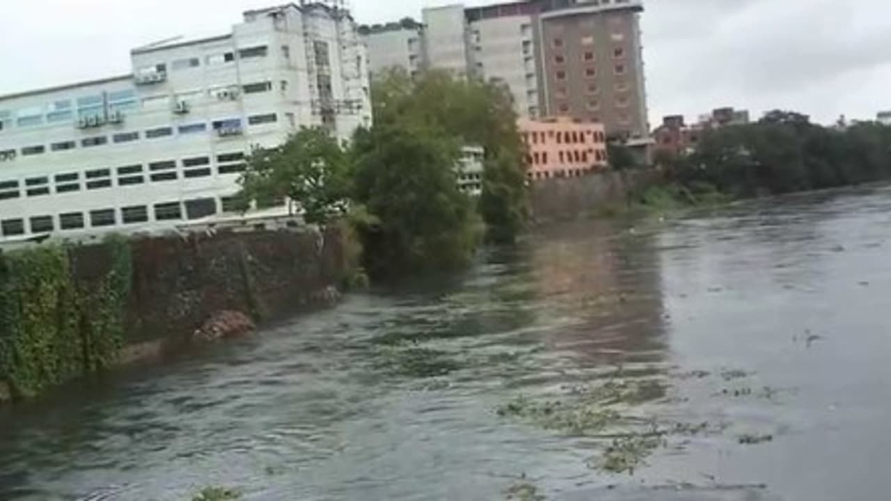 42 கிமீ அடையாறு ஆற்றை சீரமைக்க ரூ.555 கோடி: சட்டசபையில் முதல்வர் அறிவிப்பு 42 கிமீ அடையாறு ஆற்றை சீரமைக்க ரூ.555 கோடி: சட்டசபையில் முதல்வர் அறிவிப்பு