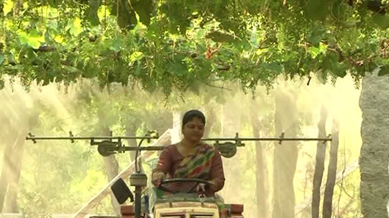 ಸರಾಗವಾಗಿ ಟ್ರ್ಯಾಕ್ಟರ್ ಓಡಿಸುವ ಈಕೆಗೆ ತೋಟಕ್ಕೆ ಔಷಧಿ ಸಿಂಪಡಿಸುವ ಕೆಲಸದಲ್ಲಿ ಸರಿ ಸಾಟಿಯೇ ಇಲ್ಲ