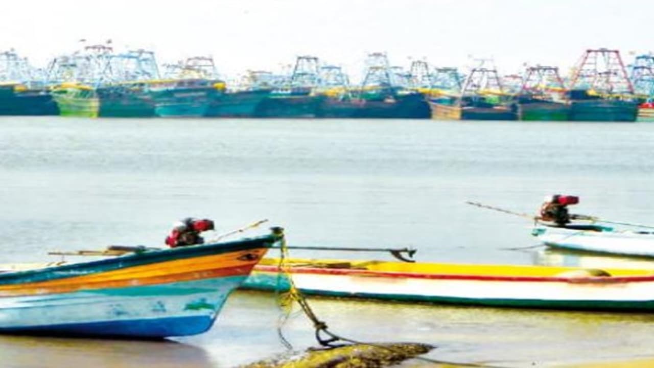 ஆயிரத்துக்கும் மேற்பட்ட மீனவர்கள் தொடர்ந்து 2 வது நாளாக போராட்டம்… ஆயிரத்துக்கும் மேற்பட்ட மீனவர்கள் தொடர்ந்து 2 வது நாளாக போராட்டம்…