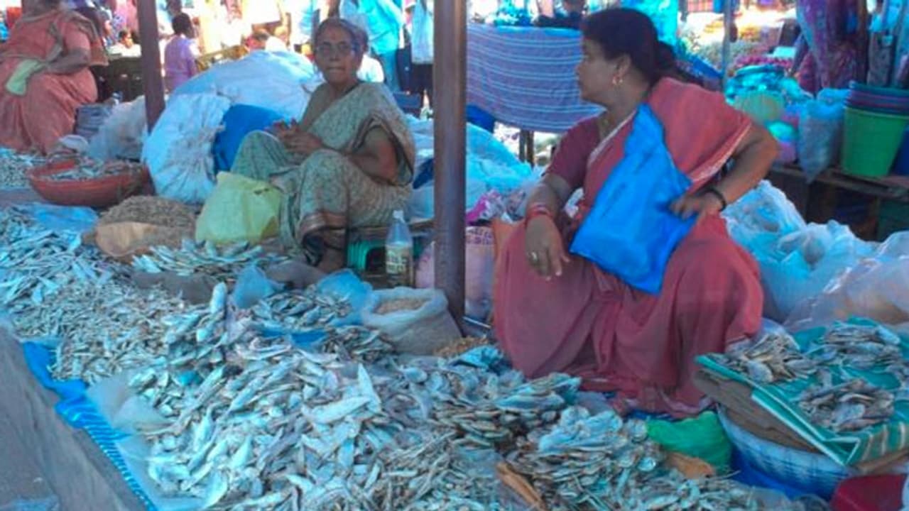 കൊവിഡിൽ വലഞ്ഞ് തീരദേശജനത: സർക്കാർ കൂടുതൽ സഹായം പ്രഖ്യാപിക്കണമെന്ന് ആവശ്യം കൊവിഡിൽ വലഞ്ഞ് തീരദേശജനത: സർക്കാർ കൂടുതൽ സഹായം പ്രഖ്യാപിക്കണമെന്ന് ആവശ്യം