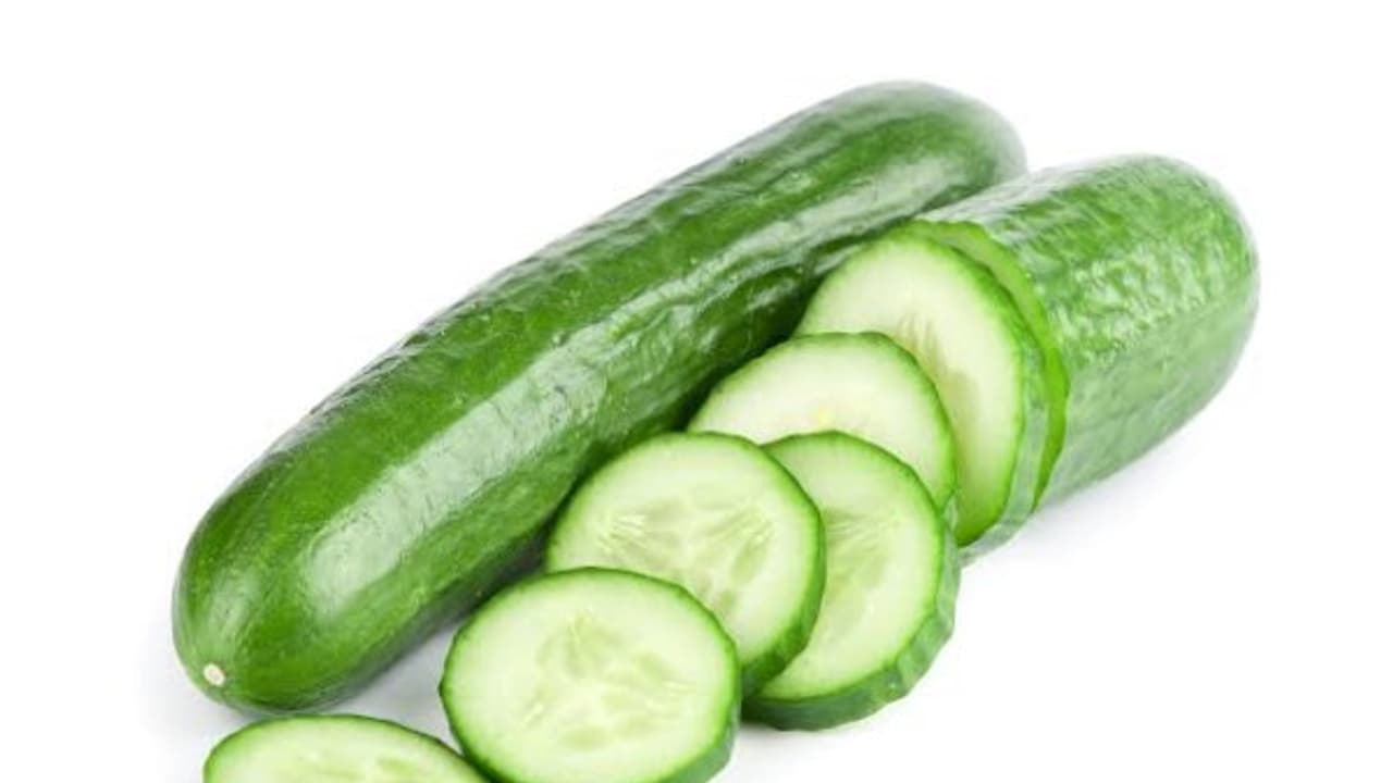 நீர்ச்சத்து மிகுந்த வெள்ளரிக்காயில் எவ்வளவு சத்துகள் இருக்குனு இதை வாசிச்சு தெரிஞ்சுக்குங்க… நீர்ச்சத்து மிகுந்த வெள்ளரிக்காயில் எவ்வளவு சத்துகள் இருக்குனு இதை வாசிச்சு தெரிஞ்சுக்குங்க…