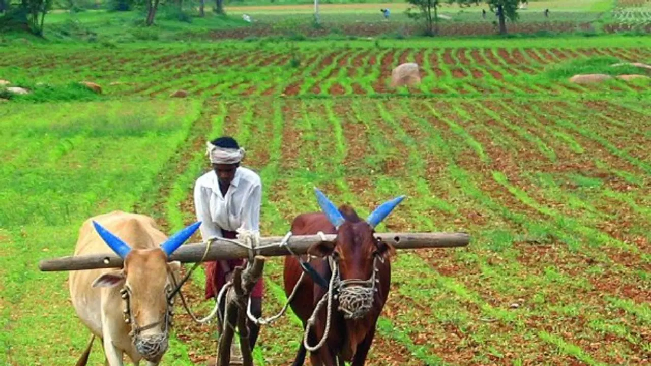 ಕಾಂಗ್ರೆಸ್ ಆಡಳಿತದ ಮತ್ತೊಂದು ರಾಜ್ಯ ಸರ್ಕಾರದಿಂದ ರೈತರ ಸಾಲ ಮನ್ನಾ ಕಾಂಗ್ರೆಸ್ ಆಡಳಿತದ ಮತ್ತೊಂದು ರಾಜ್ಯ ಸರ್ಕಾರದಿಂದ ರೈತರ ಸಾಲ ಮನ್ನಾ