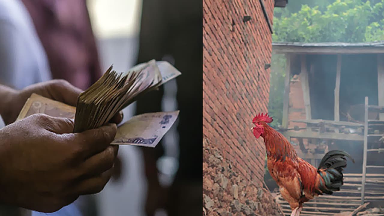 No site, no refund for 20 years for members of Secretariat Employees Housing Society No site, no refund for 20 years for members of Secretariat Employees Housing Society