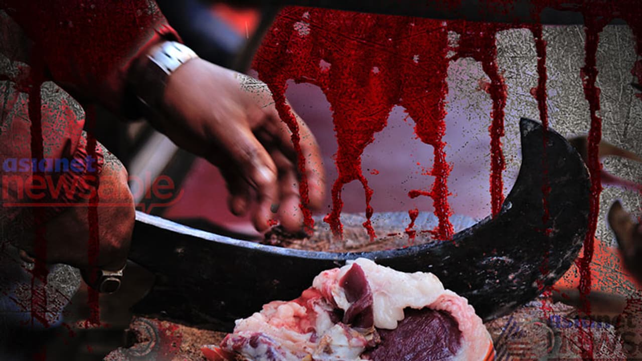 Malappuram woman found brutally murdered in slaughterhouse, husband absconding Malappuram woman found brutally murdered in slaughterhouse, husband absconding