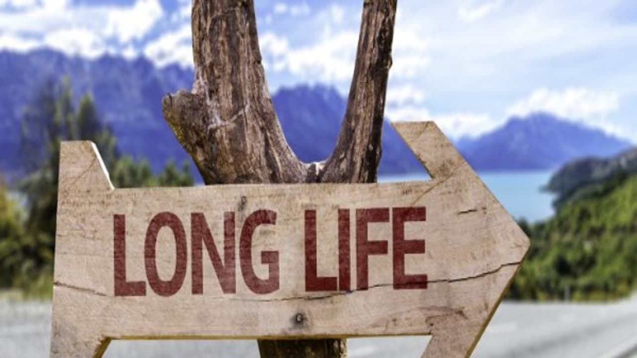 காலை, மதியம், இரவு உணவுகளை இந்த மாதிரி சாப்பிட்டால் உங்களுக்கு ஆயுசு நூறு... காலை, மதியம், இரவு உணவுகளை இந்த மாதிரி சாப்பிட்டால் உங்களுக்கு ஆயுசு நூறு...