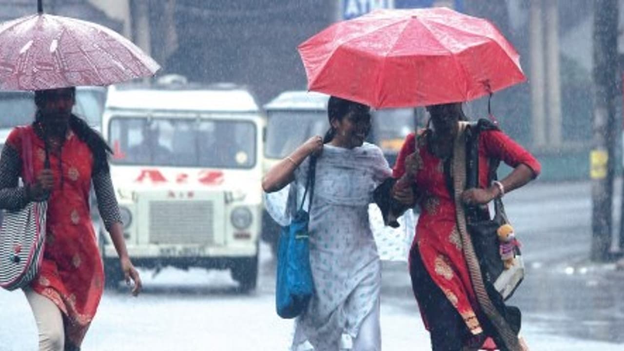 ஹேப்பி நியூஸ்! அடுத்த மூன்று நாட்களுக்கு வெளுத்து வாங்கப்போகுது மழை... வானிலை ஆய்வு மையம் தகவல் ஹேப்பி நியூஸ்! அடுத்த மூன்று நாட்களுக்கு வெளுத்து வாங்கப்போகுது மழை... வானிலை ஆய்வு மையம் தகவல்