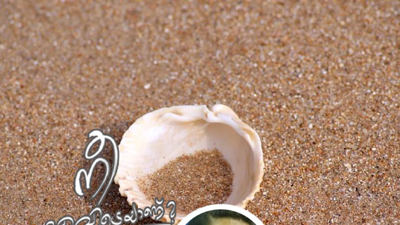 ഏതോ വനം വകുപ്പ് ഓഫീസില് അംജുദ ചേച്ചിയുണ്ടാവും! ഏതോ വനം വകുപ്പ് ഓഫീസില് അംജുദ ചേച്ചിയുണ്ടാവും!