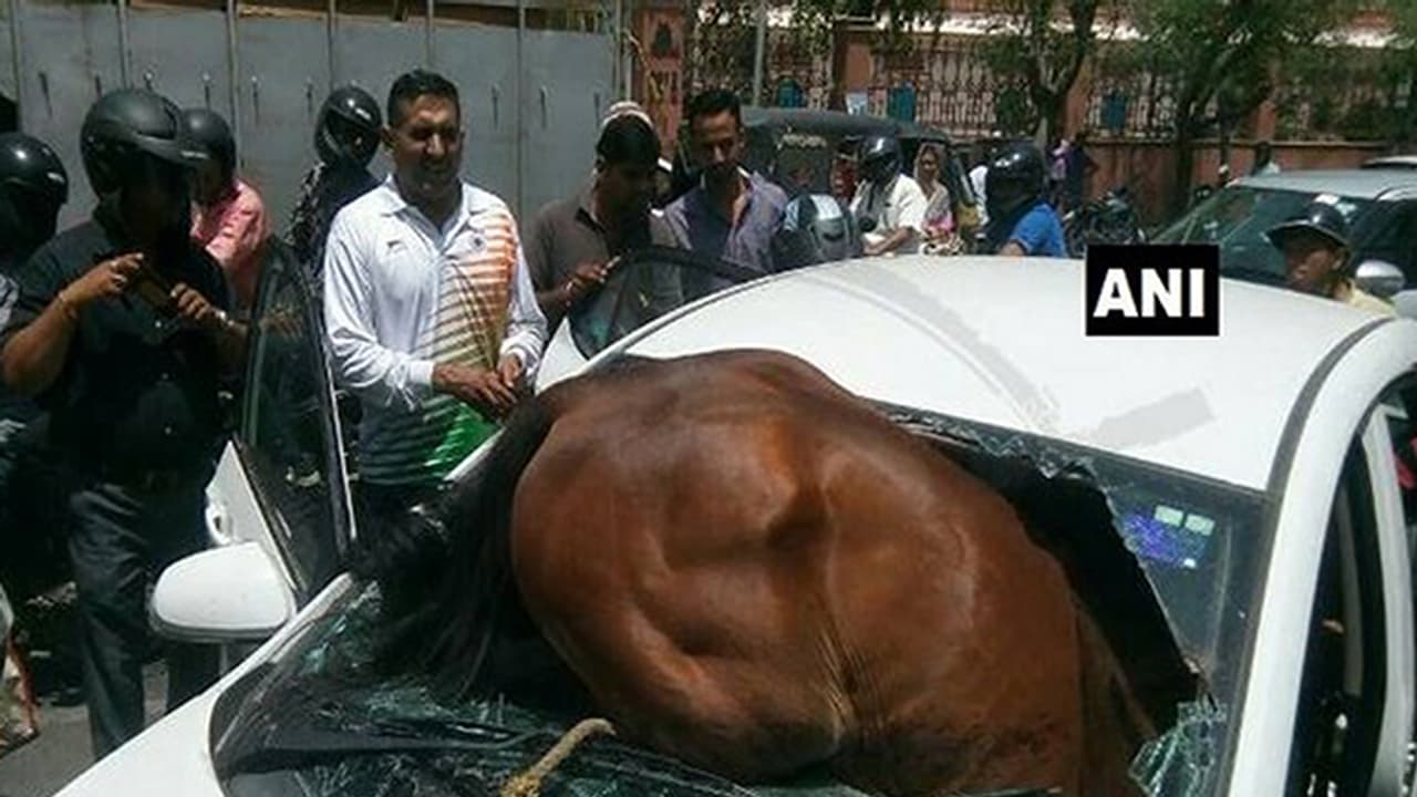 ಜೈಪುರದಲ್ಲೊಂದು ವಿಚಿತ್ರ ಅಪಘಾತ! ಜೈಪುರದಲ್ಲೊಂದು ವಿಚಿತ್ರ ಅಪಘಾತ!