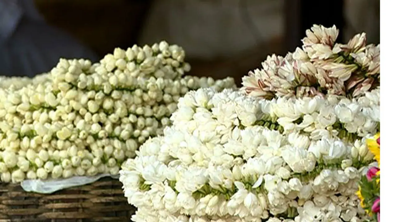 ஆயுத பூஜை கொண்டாட்டம்..! உச்சத்தைத் தொட்ட பூக்களின் விலை ஒரு கிலோ மல்லிகைப் பூ எவ்வளவு தெரியுமா.? ஆயுத பூஜை கொண்டாட்டம்..! உச்சத்தைத் தொட்ட பூக்களின் விலை ஒரு கிலோ மல்லிகைப் பூ எவ்வளவு தெரியுமா.?