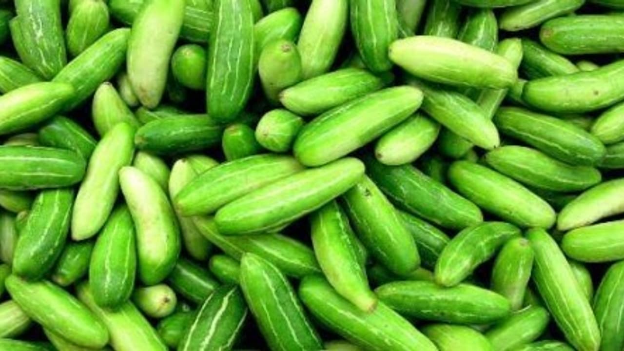 கோச்சிக்காமல் படிங்க கோவைக்காயில் அடங்கி இருக்கும் மருத்துவ பண்புகளை… கோச்சிக்காமல் படிங்க கோவைக்காயில் அடங்கி இருக்கும் மருத்துவ பண்புகளை…