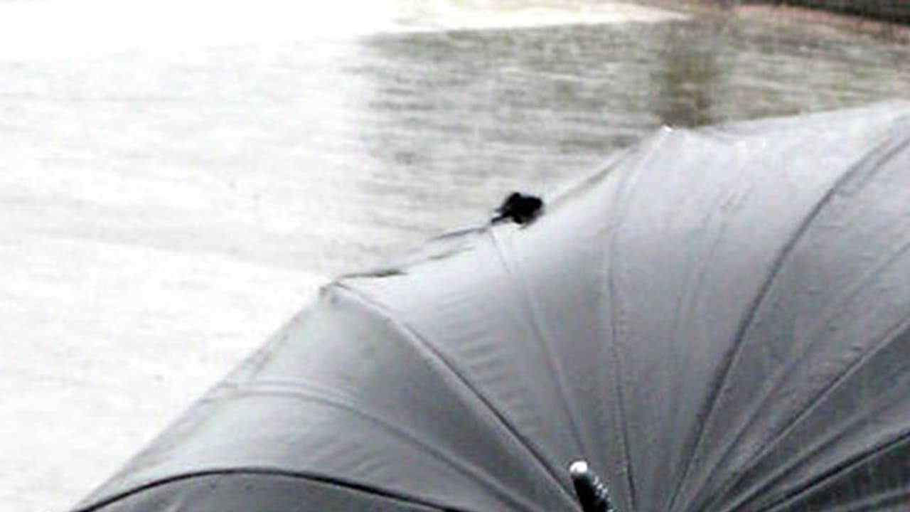 నాన్న గొడుగలా మూలన పడిపోయింది... నాన్న గొడుగలా మూలన పడిపోయింది...