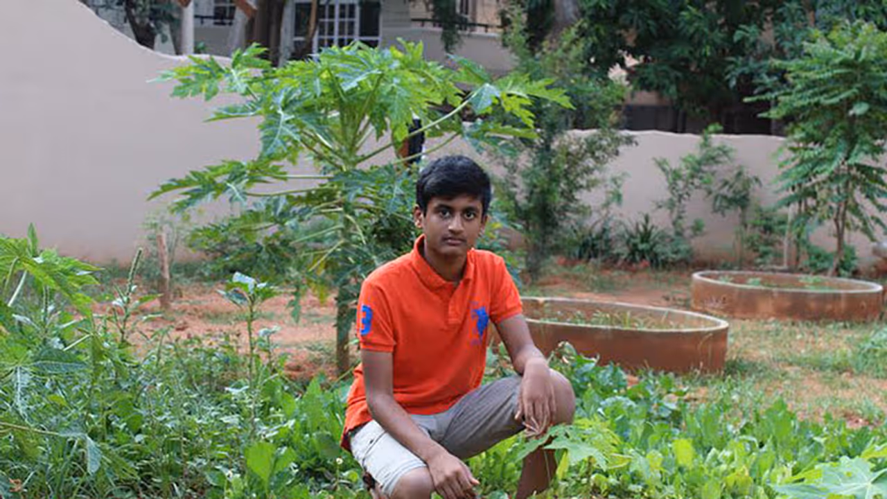 Teen nature lover turns wasteland into organic farm Teen nature lover turns wasteland into organic farm