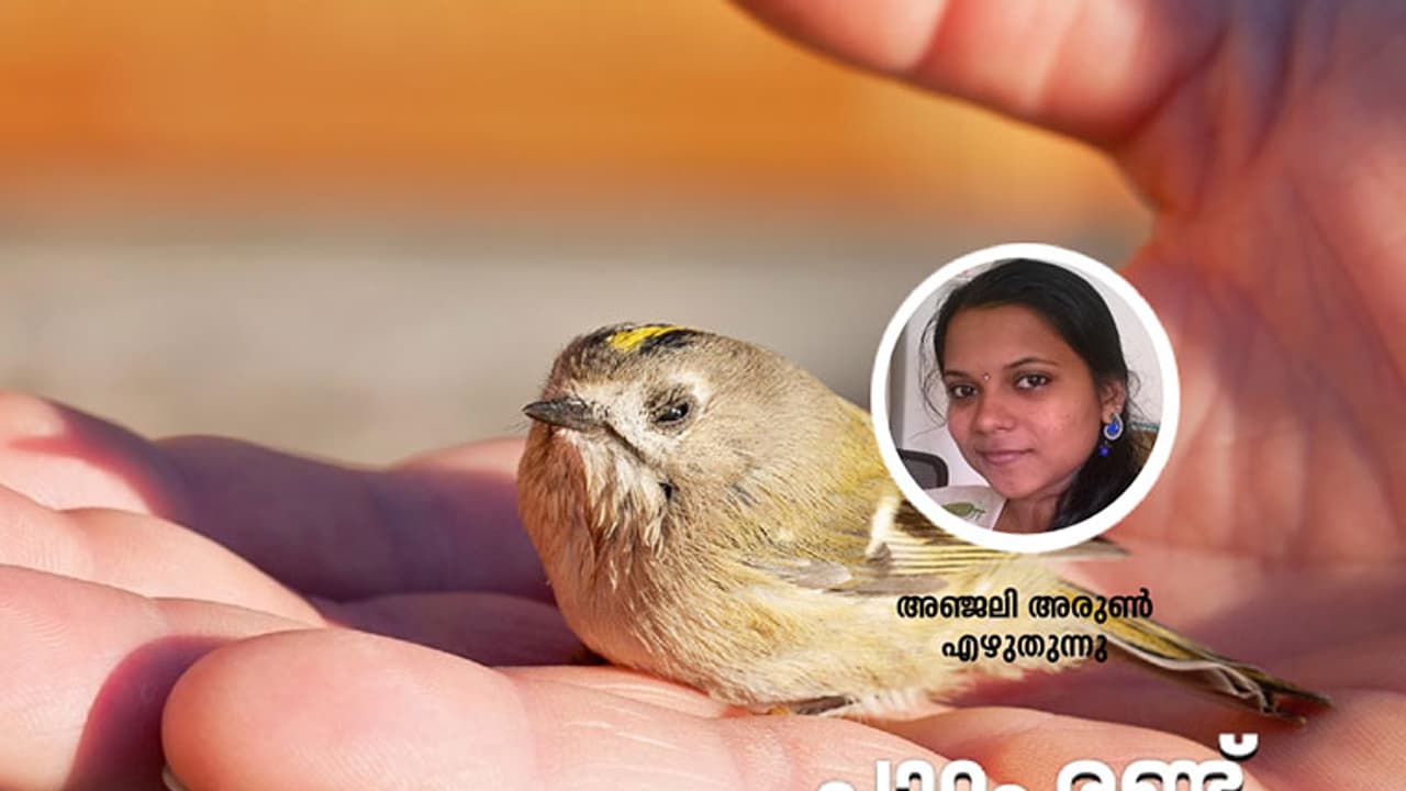 സെലിന് ടീച്ചര് പഠിപ്പിച്ച ജീവിതപാഠങ്ങള്! സെലിന് ടീച്ചര് പഠിപ്പിച്ച ജീവിതപാഠങ്ങള്!