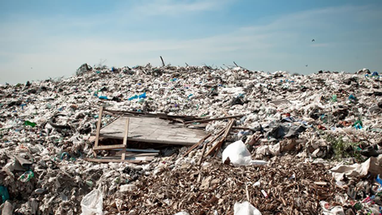 Garbage from Tirupati sparks tensions in CR Puram, Section 144 imposed Garbage from Tirupati sparks tensions in CR Puram, Section 144 imposed