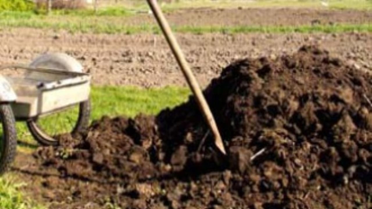 மூன்றாண்டுகளுக்குத் தேவையான இயற்கை உரம் வேண்டுமா? அப்படின்னா உரக்குழி அமைக்க வேண்டும்...