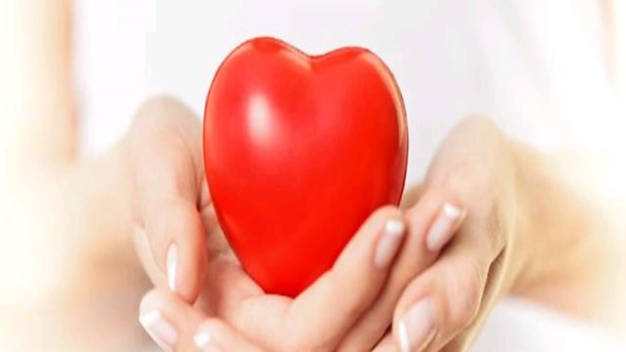 இதயம் ஆரோக்கியமாக இருக்க இந்தப் பழத்தை தினமும் சாப்பிட்டாலே போதும்... இதயம் ஆரோக்கியமாக இருக்க இந்தப் பழத்தை தினமும் சாப்பிட்டாலே போதும்...