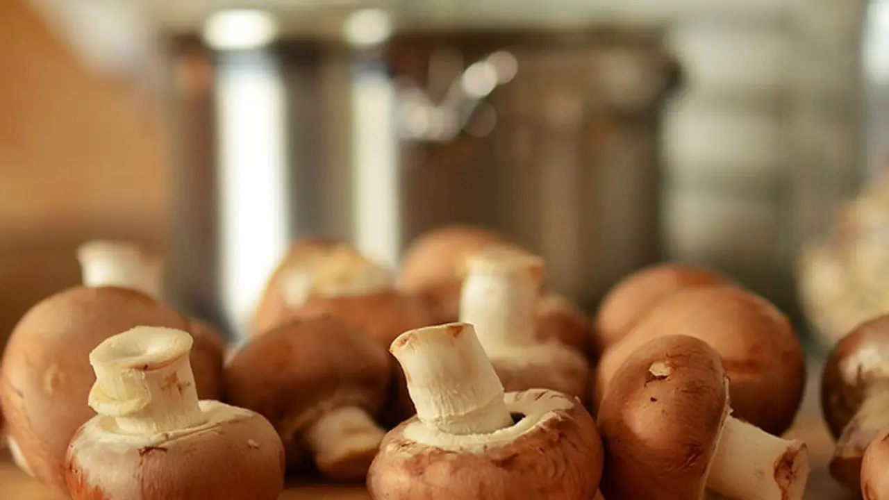 Magic Mushroom ecstasy reaches a high in Munnar Magic Mushroom ecstasy reaches a high in Munnar