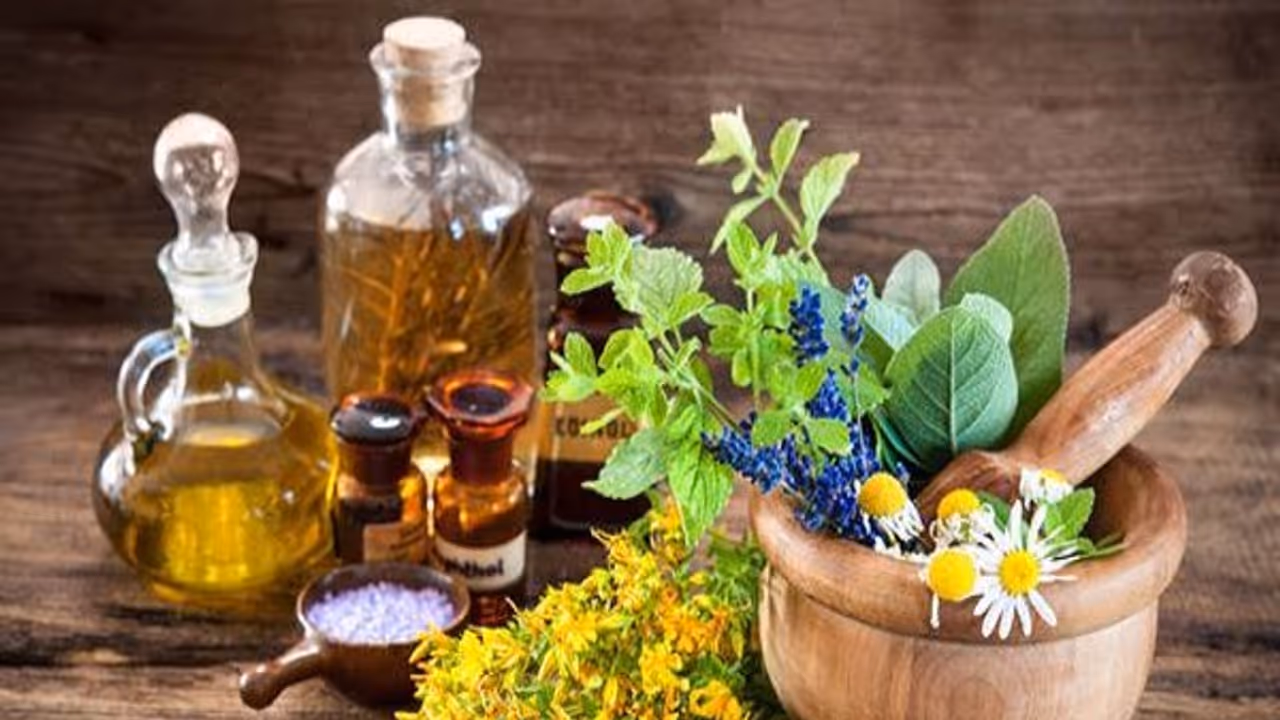 இந்த பாட்டி வைத்திய முறைகளை தெரிந்துவைத்து கொள்ளுங்கள் அவசரத்திற்கு நிச்சயம் கைகொடுக்கும்... இந்த பாட்டி வைத்திய முறைகளை தெரிந்துவைத்து கொள்ளுங்கள் அவசரத்திற்கு நிச்சயம் கைகொடுக்கும்...