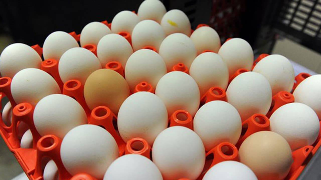 ಈಗ ಮಾಗಡಿಯಲ್ಲಿ ನಕಲಿ ಮೊಟ್ಟೆ ಪತ್ತೆ? ಈಗ ಮಾಗಡಿಯಲ್ಲಿ ನಕಲಿ ಮೊಟ್ಟೆ ಪತ್ತೆ?