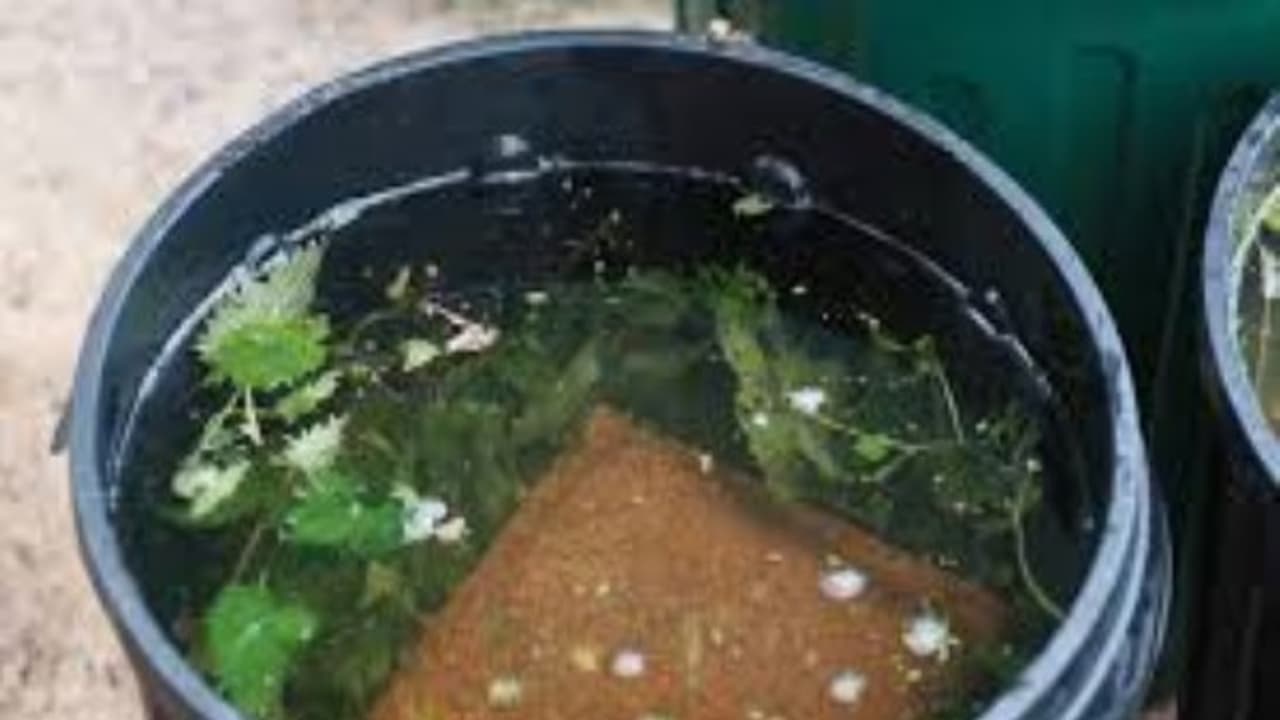 வீட்டில் இருக்கு பொருட்களை வைத்து இயற்கை பூச்சி கொல்லி செய்வது எப்படி? வீட்டில் இருக்கு பொருட்களை வைத்து இயற்கை பூச்சி கொல்லி செய்வது எப்படி?