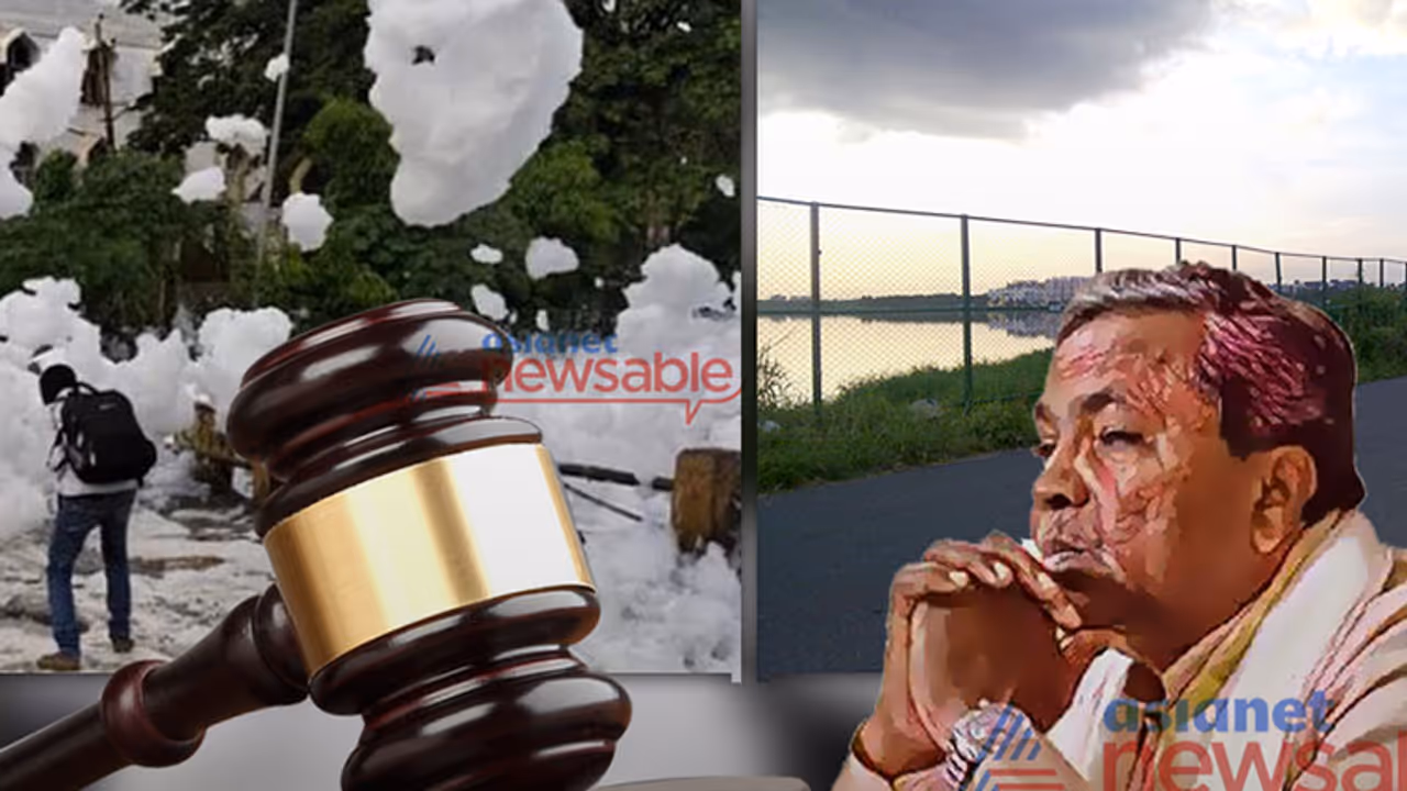 Do you want Bellandur lake to be froth free? You may have to wait for another three years! Do you want Bellandur lake to be froth free? You may have to wait for another three years!