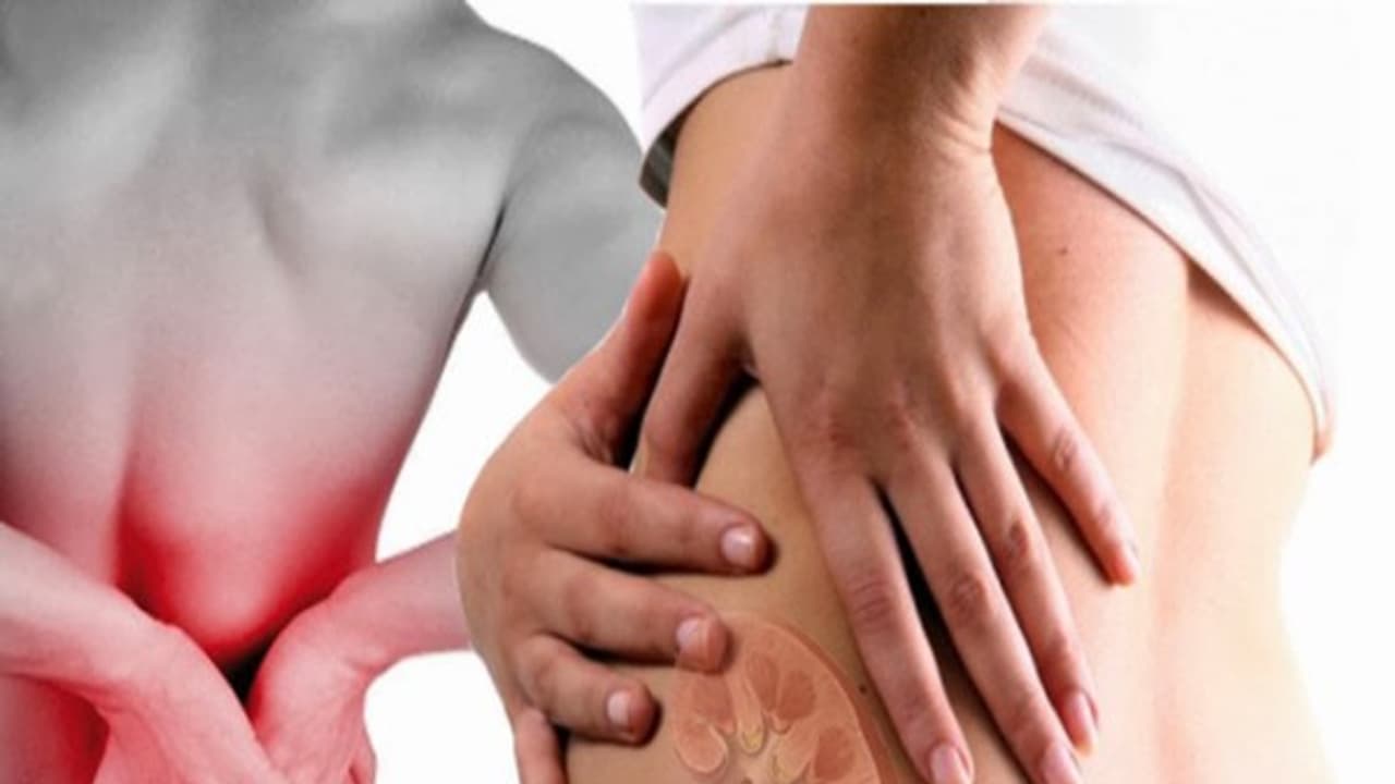 சிறுநீரகக் கல்: அறிகுறி முதல் சித்த மருத்துவ தீர்வு வரை ஒரு முழு அலசல்... சிறுநீரகக் கல்: அறிகுறி முதல் சித்த மருத்துவ தீர்வு வரை ஒரு முழு அலசல்...