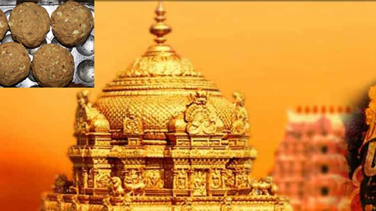 అమరావతిలో శ్రీవారి ఆలయ నిర్మాణం: టీటీడీ పాలకమండలి నిర్ణయం అమరావతిలో శ్రీవారి ఆలయ నిర్మాణం: టీటీడీ పాలకమండలి నిర్ణయం