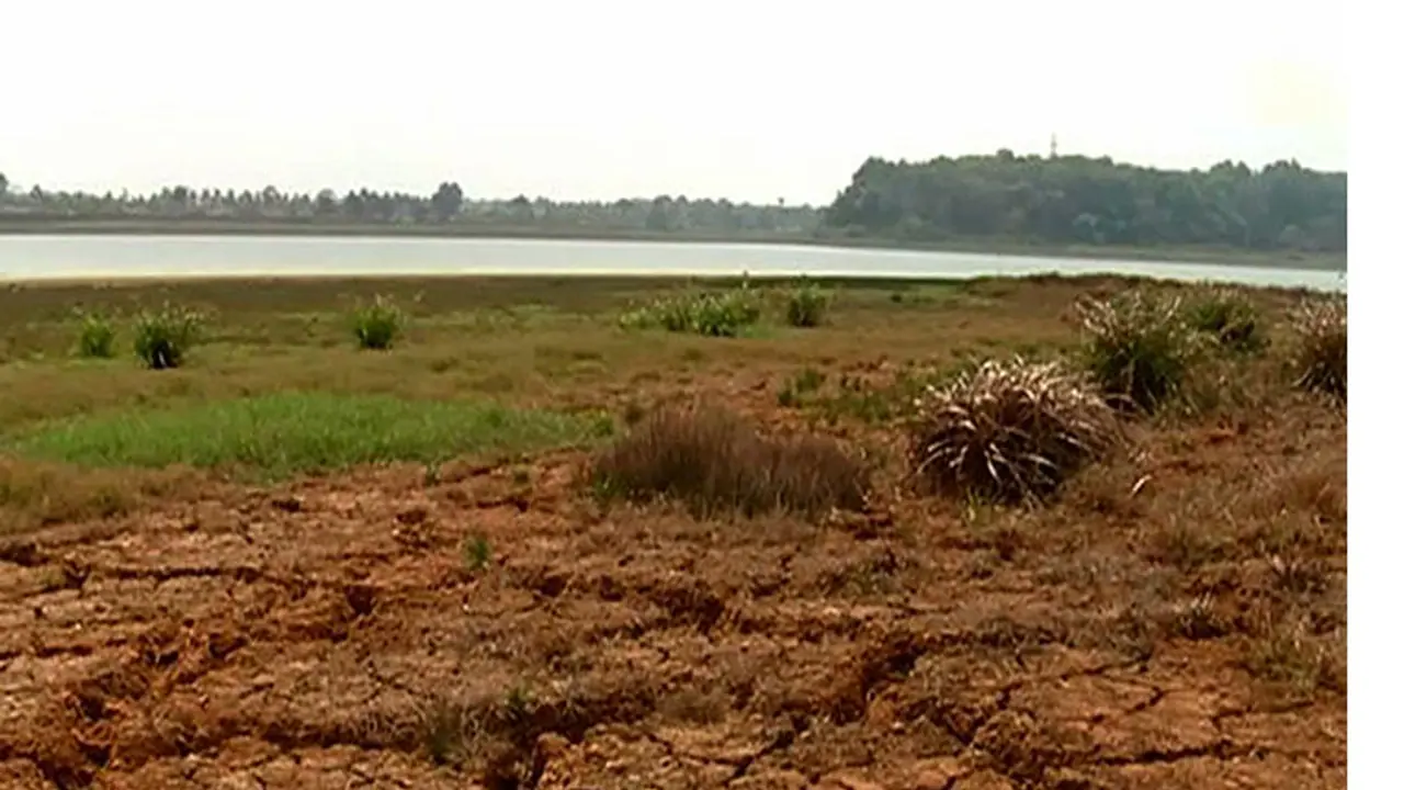 Deficit rainfall: Kharif yield likely to drop by 30% in Amreli, Gujarat