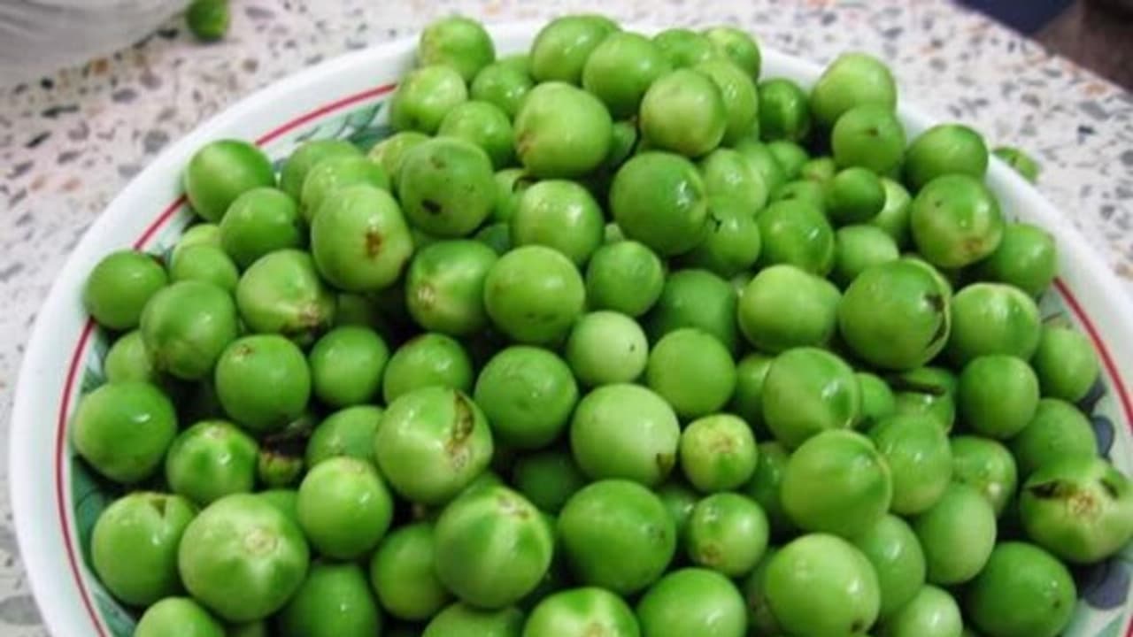 சுண்டைக்காயை சாதாரணமா நினைக்காமல் அதில் எவ்வளவு மருத்துவம் குணம் இருக்குனு இதை படிங்க தெரியும்...