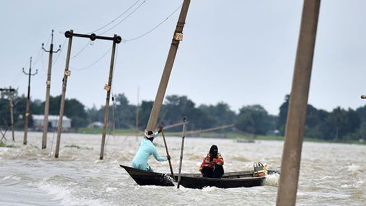 മഴവെള്ളത്തില് ഒഴുകിയെത്തിയ അതിഥിയെ കാണാം... മഴവെള്ളത്തില് ഒഴുകിയെത്തിയ അതിഥിയെ കാണാം...