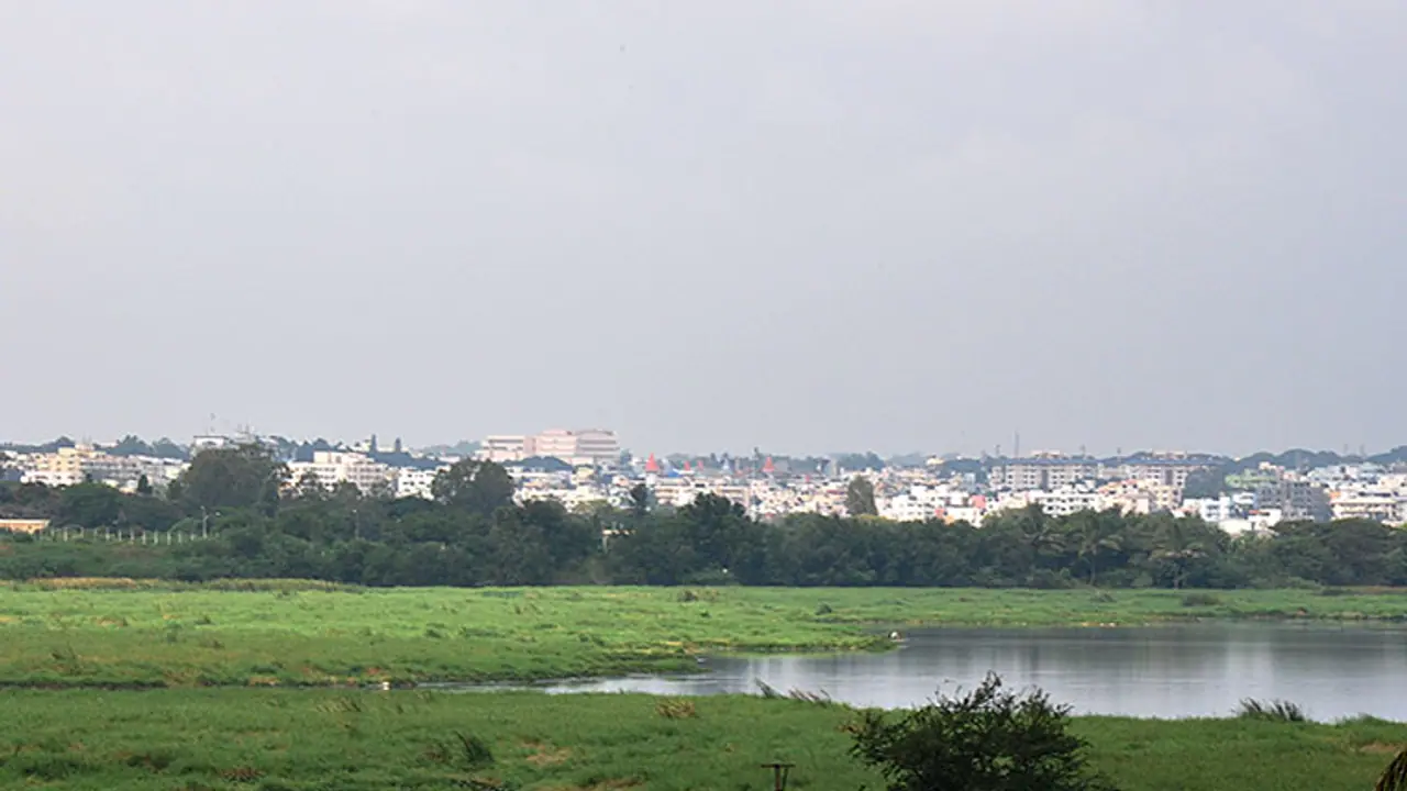 Bengaluru's prized Rampur Lake now starts foaming Bengaluru's prized Rampur Lake now starts foaming