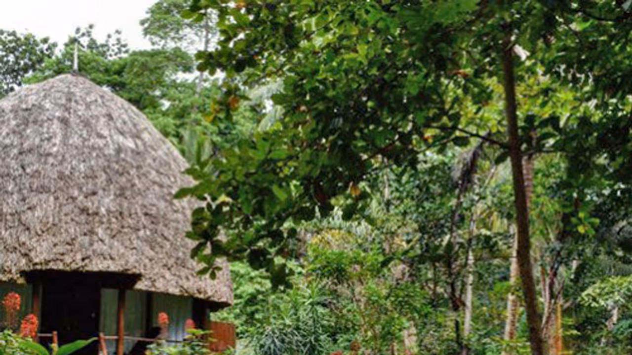 ಕೊಪ್ಪಳ: ಗಂಟುಮೂಟೆ ಕಟ್ಟಿ ಹೊರಟ ವಿರೂಪಾಪುರಗಡ್ಡೆ ರೆಸಾರ್ಟ್ ಮಾಲೀಕರು ಕೊಪ್ಪಳ: ಗಂಟುಮೂಟೆ ಕಟ್ಟಿ ಹೊರಟ ವಿರೂಪಾಪುರಗಡ್ಡೆ ರೆಸಾರ್ಟ್ ಮಾಲೀಕರು