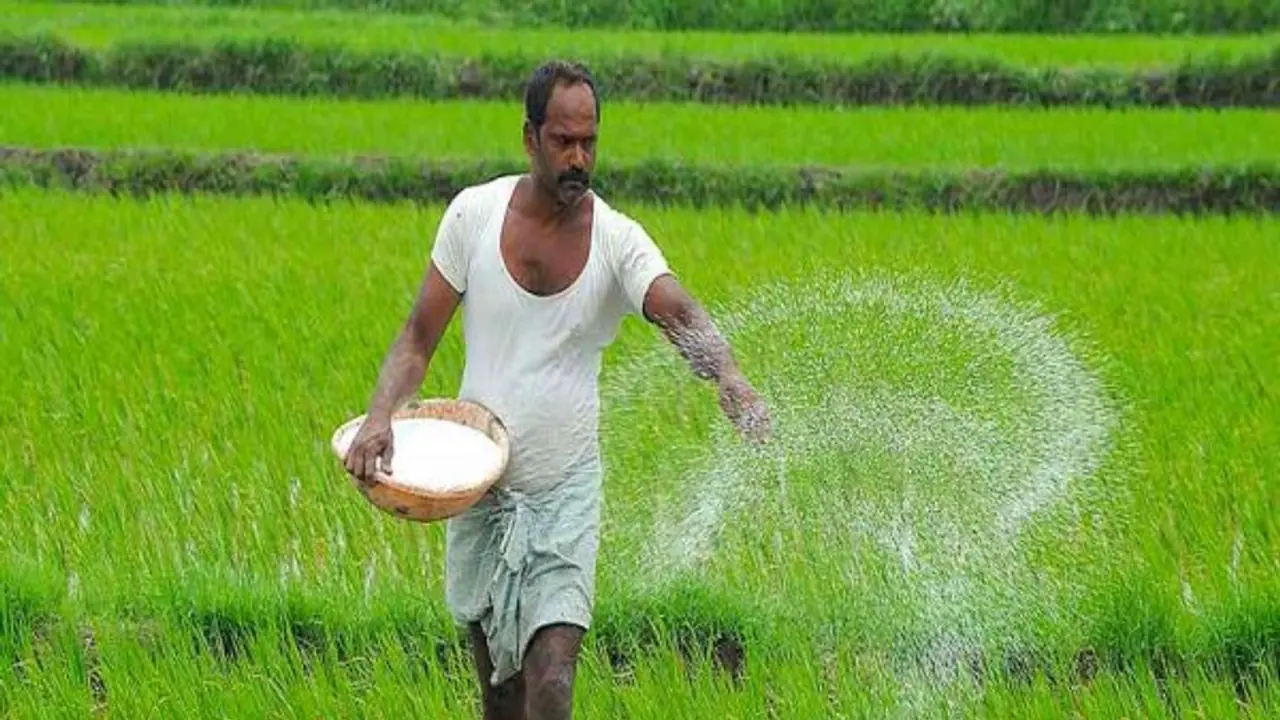 யூரியாவை விட இயற்கை மருந்தே சிறந்தது. எப்படி? யூரியாவை விட இயற்கை மருந்தே சிறந்தது. எப்படி?