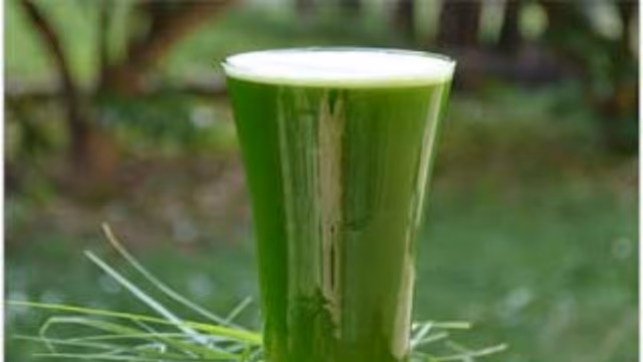 தினமும் அறுகம்புல் ஜூஸ் குடித்து பாருங்கள்! உங்கள் ஆரோக்கியத்தின் அளவு உச்சத்தில் இருக்கும்... தினமும் அறுகம்புல் ஜூஸ் குடித்து பாருங்கள்! உங்கள் ஆரோக்கியத்தின் அளவு உச்சத்தில் இருக்கும்...