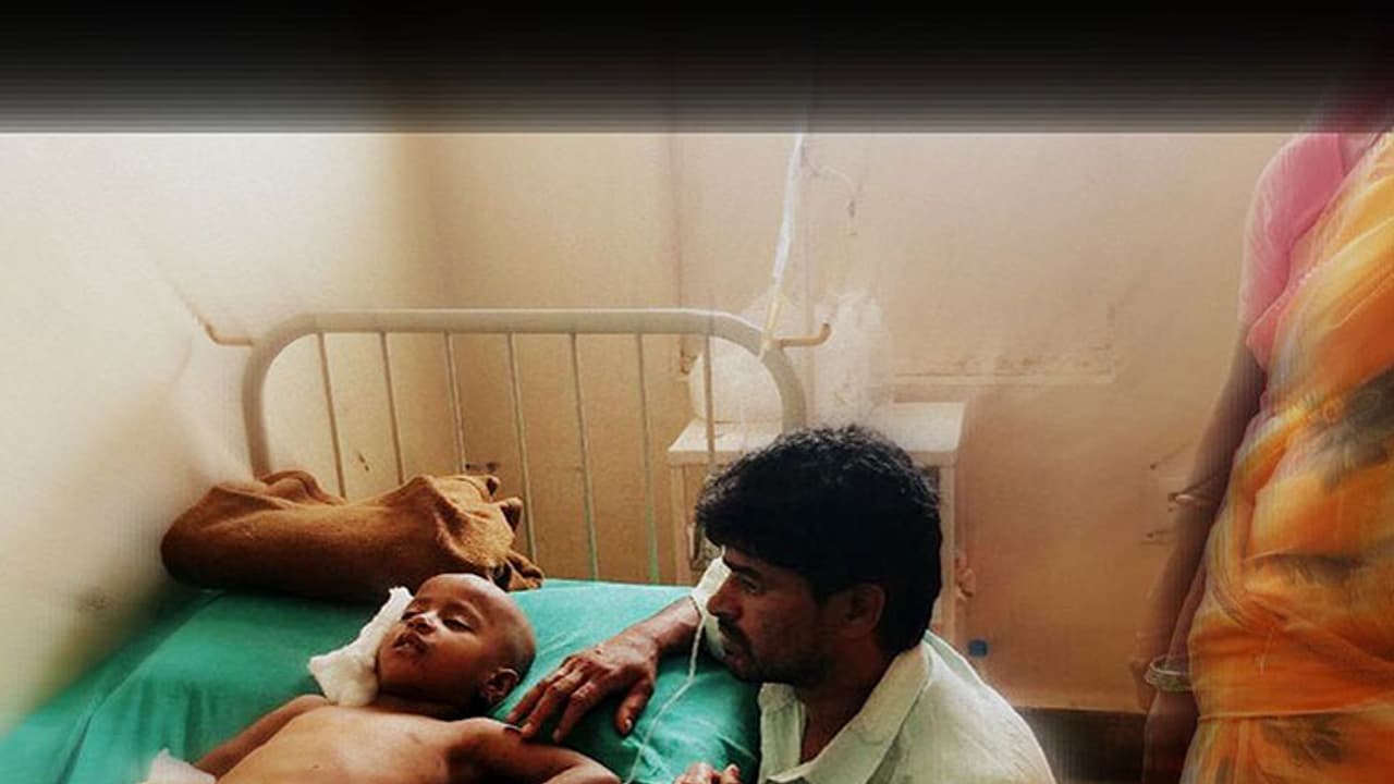 BBMP gets into war mode after dogs maul six year old BBMP gets into war mode after dogs maul six year old