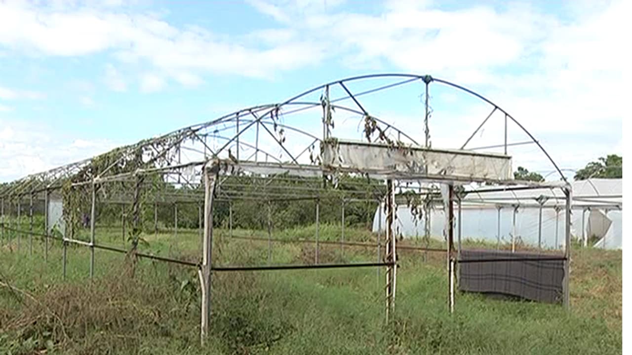 ಬೇಲಿಯೇ ಎದ್ದು ಹೊಲ ಮೇಯ್ದಿರುವಂತಹ ಪ್ರಕರಣ: ತೋಟಗಾರಿಕೆ ಅಧಿಕಾರಿಗಳಿಂದ ಲಕ್ಷ ಲಕ್ಷ ಲೂಟಿ ಬೇಲಿಯೇ ಎದ್ದು ಹೊಲ ಮೇಯ್ದಿರುವಂತಹ ಪ್ರಕರಣ: ತೋಟಗಾರಿಕೆ ಅಧಿಕಾರಿಗಳಿಂದ ಲಕ್ಷ ಲಕ್ಷ ಲೂಟಿ