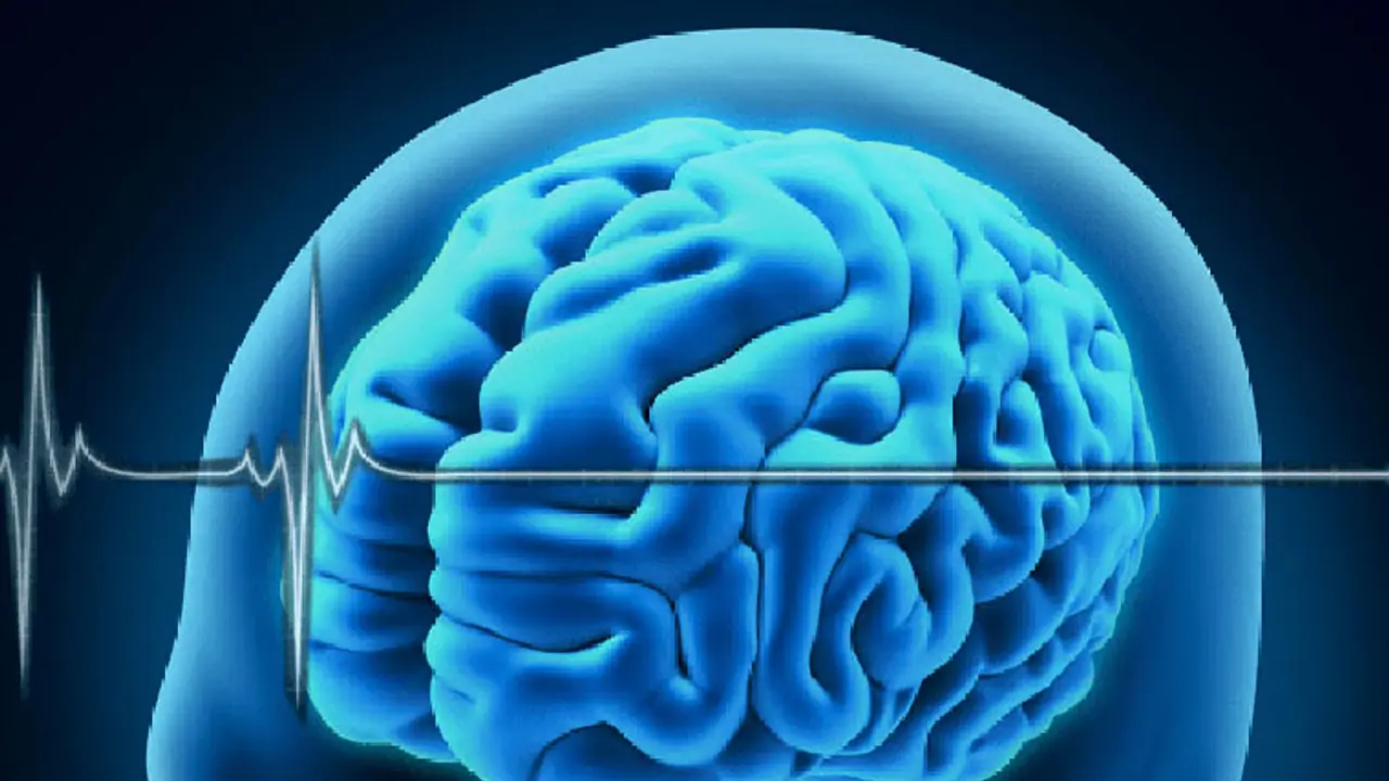 Your brain helps you avoid risky investments: Scientists