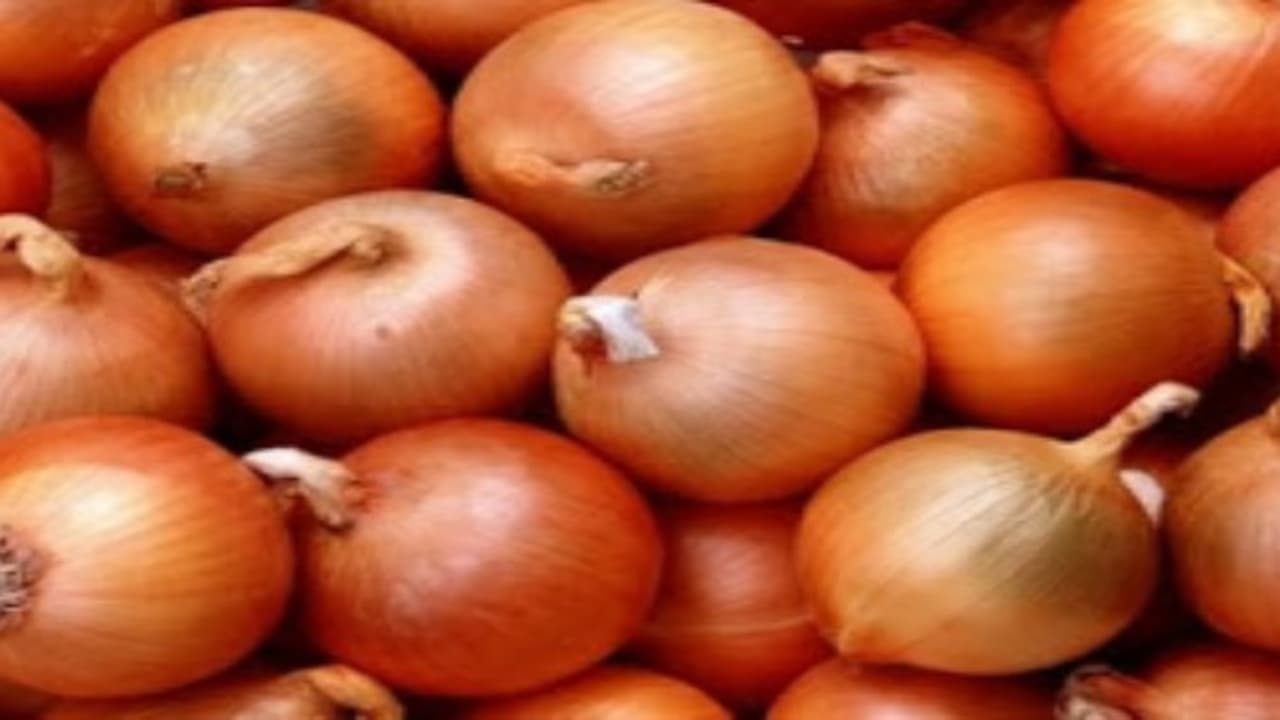 சின்ன வெங்காயம் சாகுபடியில் அதிக விளைச்சல் பெற இந்த ஆலோசனைகளை முயற்சி செய்யுங்கள்… சின்ன வெங்காயம் சாகுபடியில் அதிக விளைச்சல் பெற இந்த ஆலோசனைகளை முயற்சி செய்யுங்கள்…