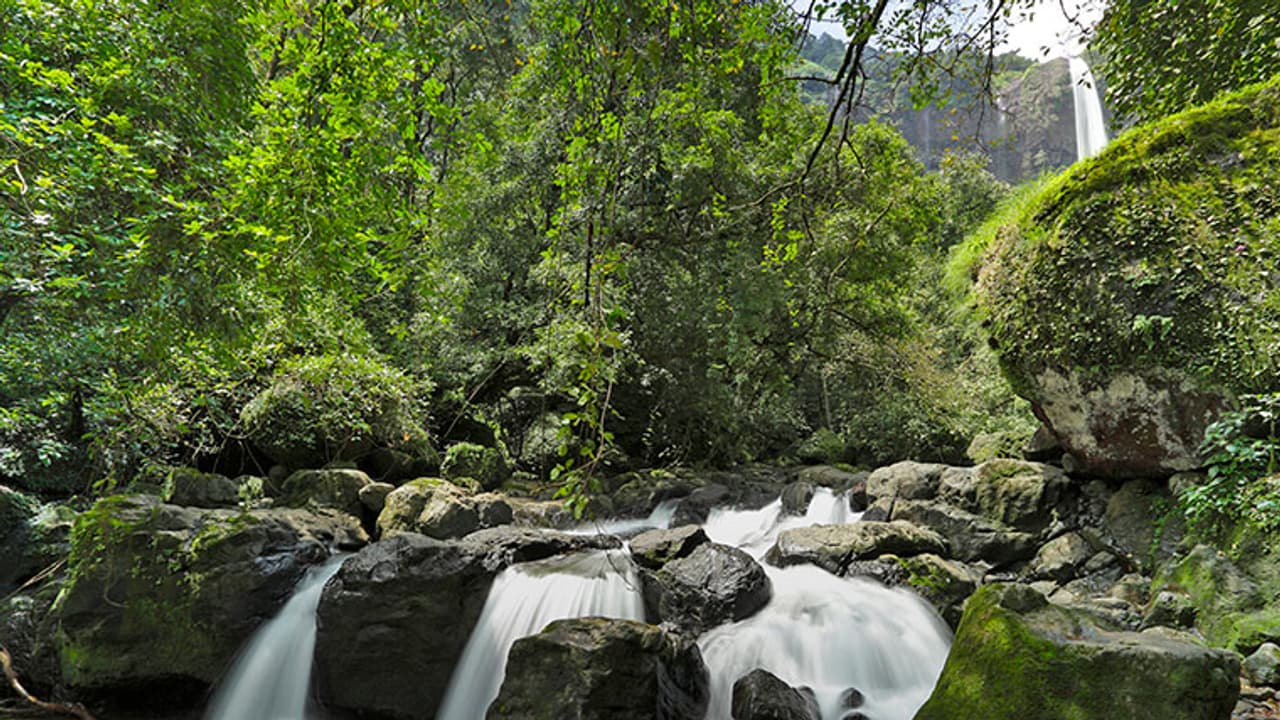 4 lesser known waterfalls of Kerala 4 lesser known waterfalls of Kerala