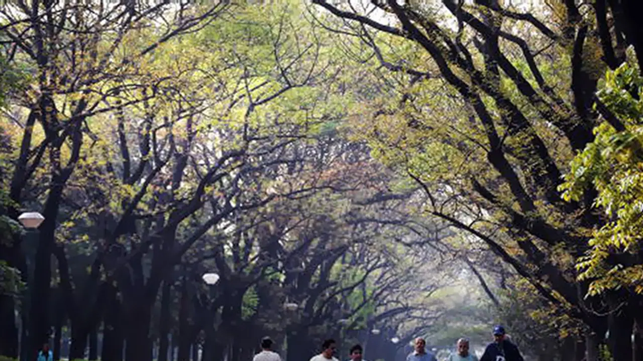 No entry to vehicles in Cubbon Park on Second Saturdays