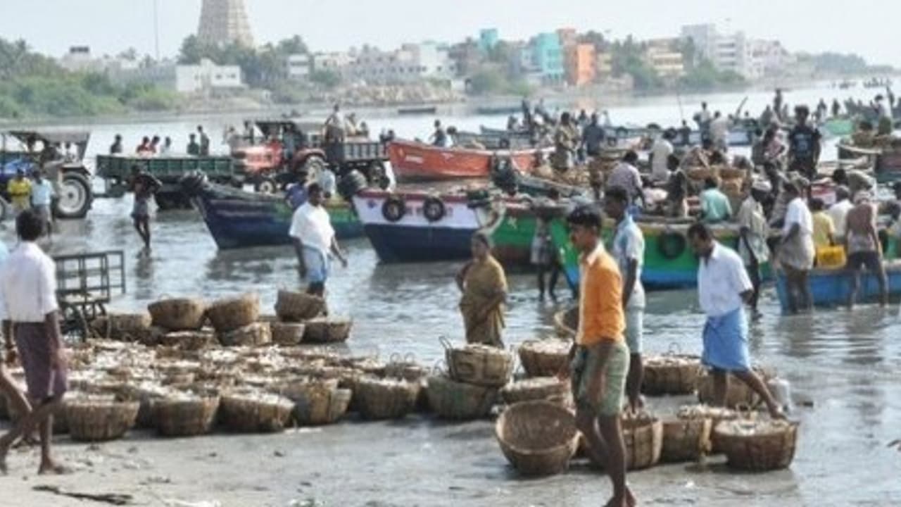 இலங்கை தீர்மானத்துக்கு எதிராக தீக்குளிப்பு போராட்டம் களத்தில் குதித்த ராமேஸ்வரம் மீனவர்கள்!! இலங்கை தீர்மானத்துக்கு எதிராக தீக்குளிப்பு போராட்டம் களத்தில் குதித்த ராமேஸ்வரம் மீனவர்கள்!!