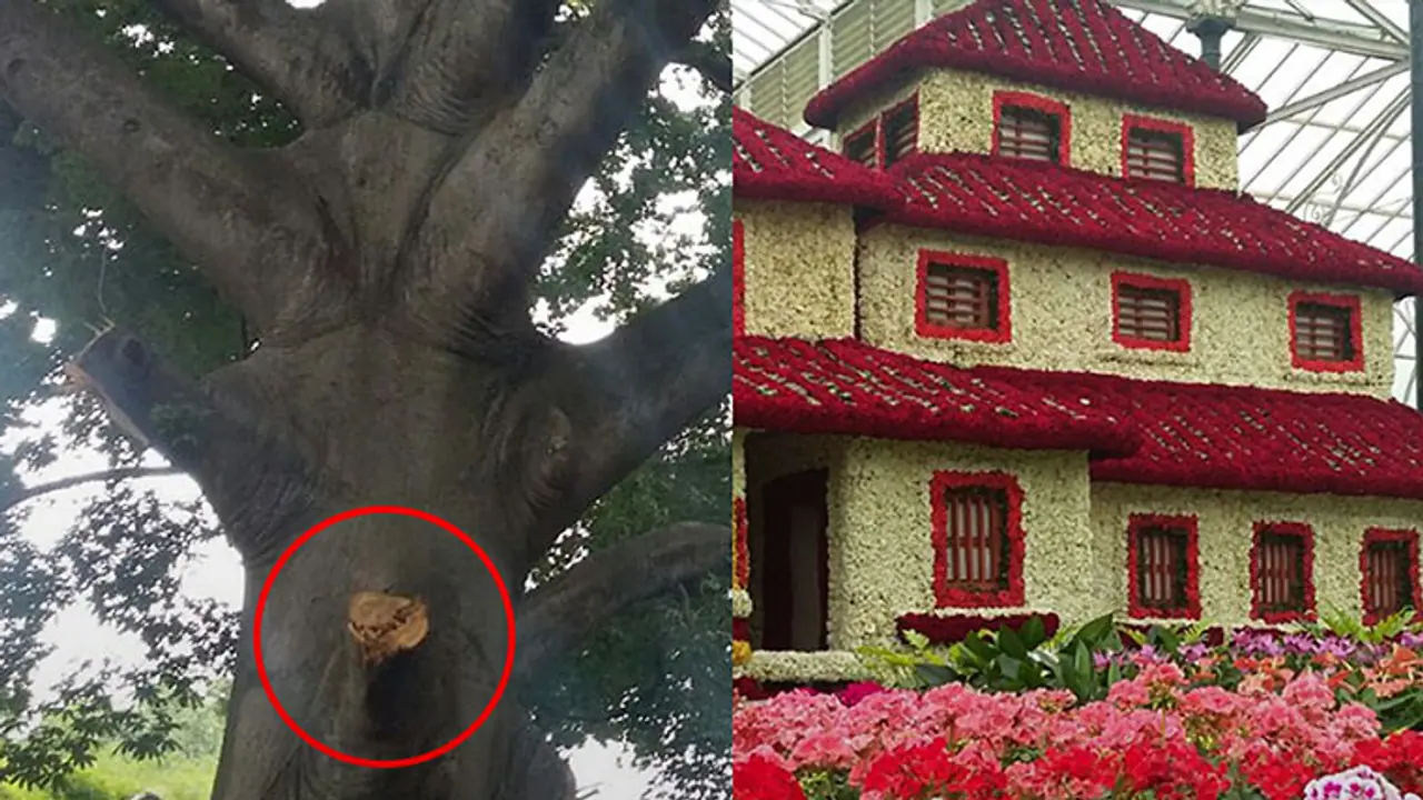 Lal Bagh flower show: Security gets serious as Govt builds self image Lal Bagh flower show: Security gets serious as Govt builds self image