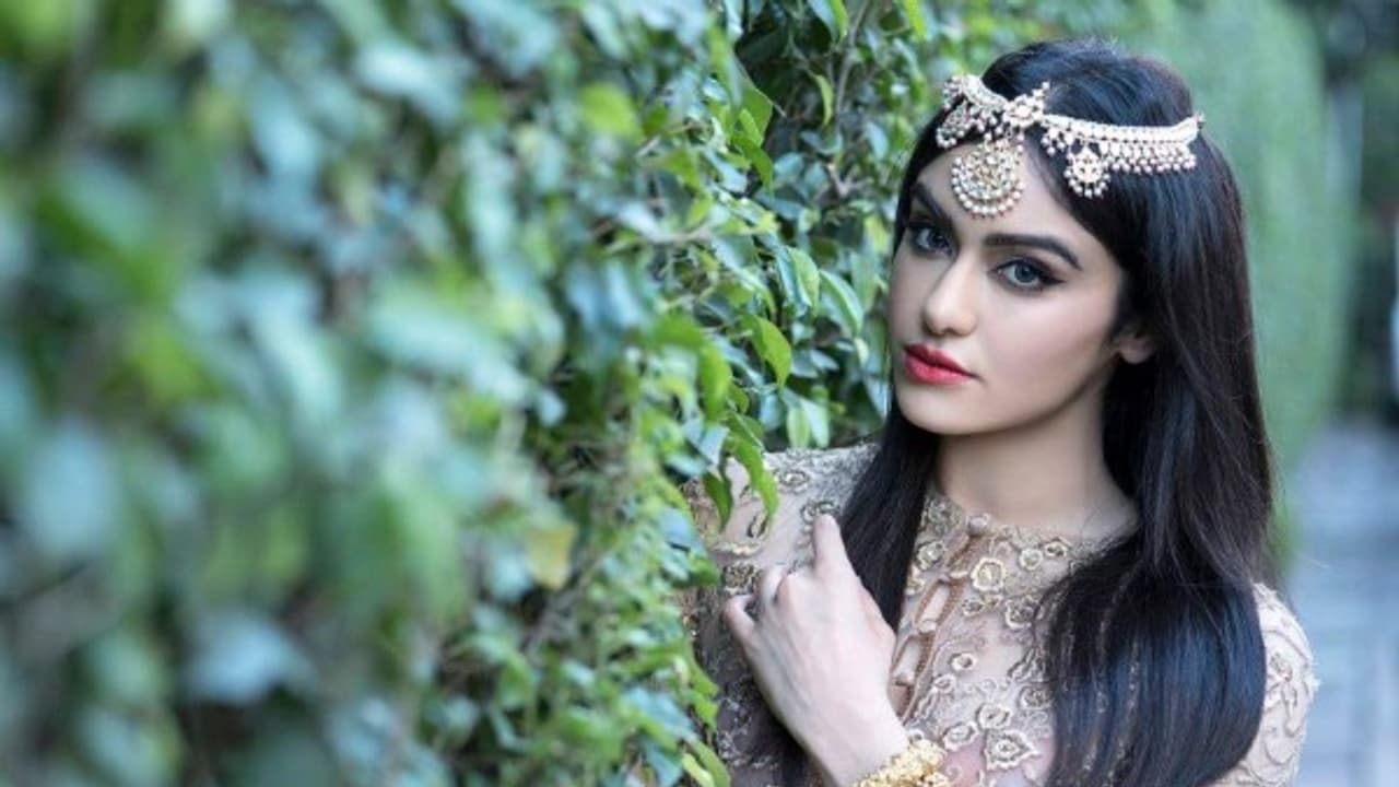 அடடா... அடர் சர்மா செய்யும் அட்டகாசத்தை பாருங்க! வீடியோ அடடா... அடர் சர்மா செய்யும் அட்டகாசத்தை பாருங்க! வீடியோ